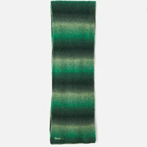 Echarpe Carhartt Wip TONY SCARF Dark Fir Pale Olive