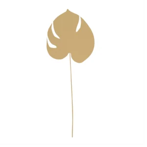 Papier recyclé Planta Monstera - Click & collect