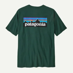 T Shirt Patagonia P6 LOGO RESPONSIBILI S/S TEE Cascade Green