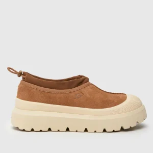 Tasman Weather Hybrid Chestnut Whitecap