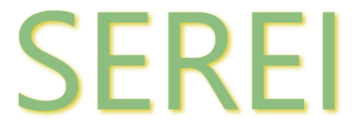 Kitesurf, foil & training : équipements techniques et accessoires